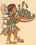 Aztec conch shell trumpeter called a "quiquizoani" in Nahuatl from the Codex Magliabecchi